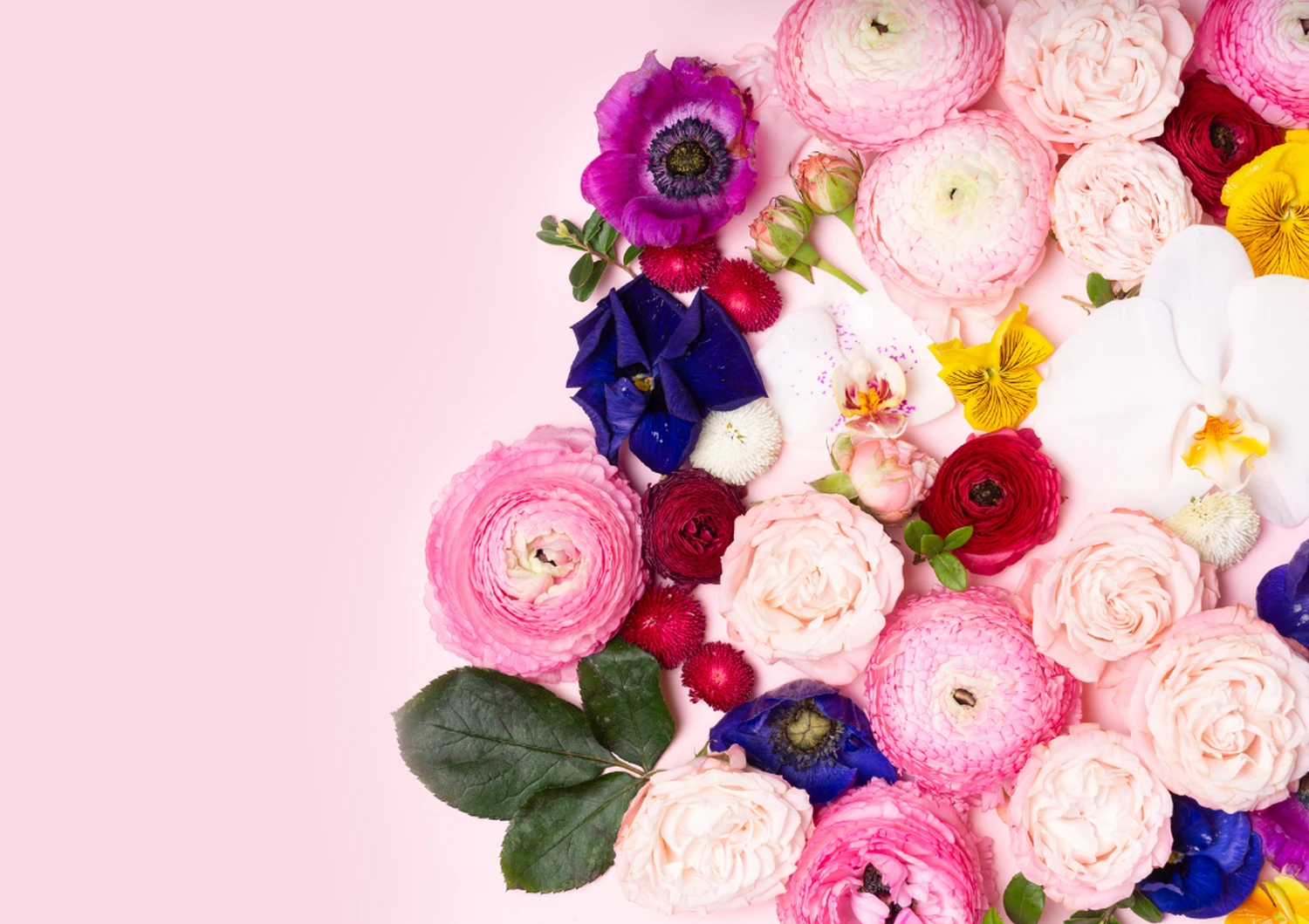 Blumen von Christin Füchtenschneider