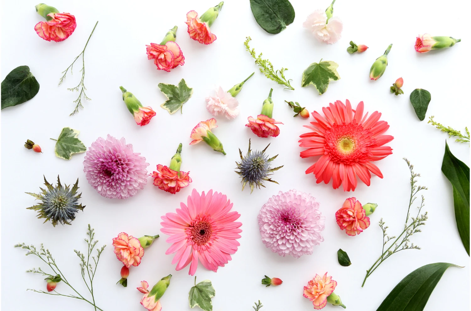 Blumen von Christin Füchtenschneider